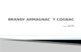 Brandy armagnac  y cognac diapositiva esposicion