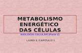 Metabolismo energético das células
