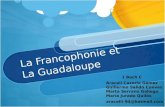 La francophonie et la guadaloupe