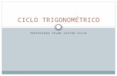 Ciclo trigonometrico