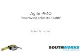 Agiles 2009 - Agile PMO