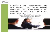 A prática do conhecimento do profissional de secretariado executivo na elaboração de roteiros de viagens: a Lei 7.377/85 e os agenciadores. TCC defesa