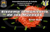 Sistema inmunitario de las mucosas