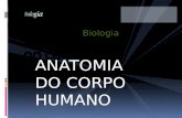 Biologia anatomia do corpo humano