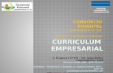 Curriculum Empresarial - Consorcio Pimentel holding inc.