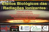 Palestra de Efeitos Biológicos das Radiações Ionizantes