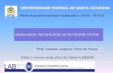 Ambiental - Prof. dr. Antonio Augusto Ulson de Souza/UFSC