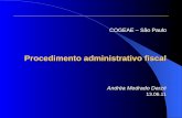 Processo administrativo cogeae 06.2011