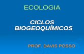 Ciclos Biogeoquimicos1