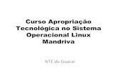 Curso apropriação tecnológica no sistema operacional linux mandriva