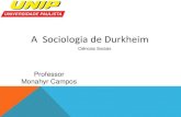 Durkheim sociologia