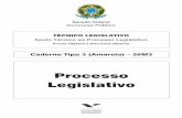 Processo legislativo   tecnico