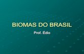 Biomas Do Brasil E Cerrado