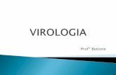 Aula slides   virologia