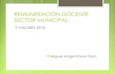 Remuneraciones Docente Municipal 2014