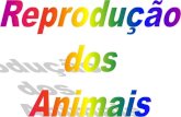 14052675 reproducao-animal