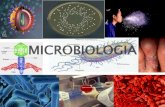 Microbiologia  aula