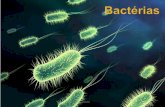 Aula bactérias