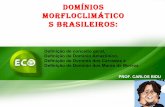Domínios Morfloclimáticos Brasileiros (aula 01)