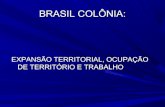 BRASIL COLÔNIA: EXPANSÃO TERRITORIAL, OCUPAÇÃO DE TERRITÓRIO E TRABALHO