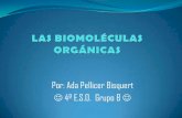 Las biomoléculas orgánicas