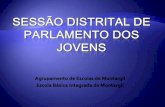 Sessão Distrital do Parlamento de Jovem
