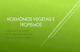 Frente 3 módulo 12 Hormônios Vegetais Auxinas Tropismos