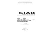 2070-L - SIAB - Manual do sistema de informação de atenção básica