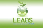 Leaqs Management System