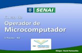 Aula Inicial - Operador de Microcomputador - SENAI