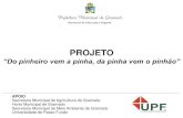 Projeto Araucarias das Escolas de Gramado/RS