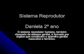 Sistema Reprodutor Daniela