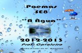 Poemaságua se8-2013