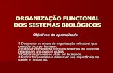 Biologia   OrganizaçãO Funcional Dos Sistemas BiolóGicos