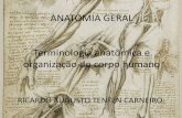 Anatomia geral terminologia anatômica  - ricardo