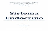 Sistema endócrino pablo
