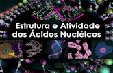 Estrutura Atividade Ácidos Nucleicos