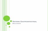 Sistema gastrointestinal (GI)