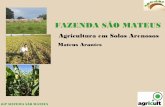 Fazenda São Mateus - Agricultura em Solos Arenosos - 14 Encontro Nacional de Plantio Direto na Palha - Bonito/MS