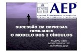 Modelo 3 circulos - Paulino Silva