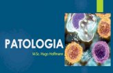 PATOLOGIA [008] - Doenças do Sistema Imune e Infecciosas
