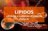 Lipidos iii