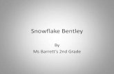 Barrett Snowflake Bentley
