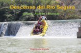 Descenso Del Rio Segura
