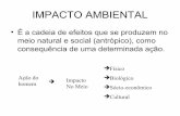 6 impacto ambiental