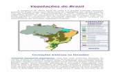 Geografia   aula 05 - vegetação do brasil e hidrografia