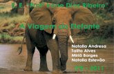 A Viagem do Elefante - José Saramago - 3ª B - 2011