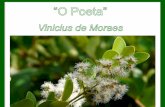 Vinicius de Moraes o poeta