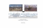 Combate à desertificação e mitigação - convivência com a seca: sínyeseBoletim desertificacao