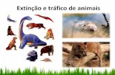 Extinção e tráfico de animais
